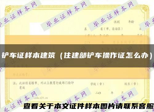 铲车证样本建筑（住建部铲车操作证怎么办）缩略图