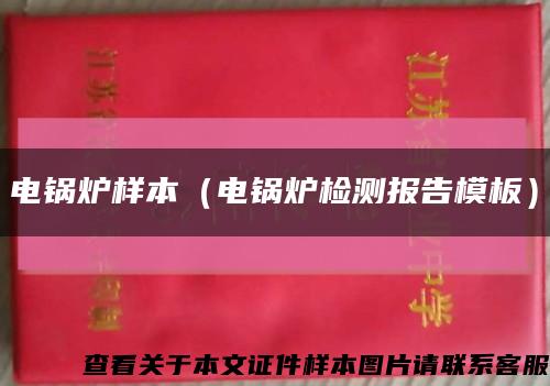 电锅炉样本（电锅炉检测报告模板）缩略图