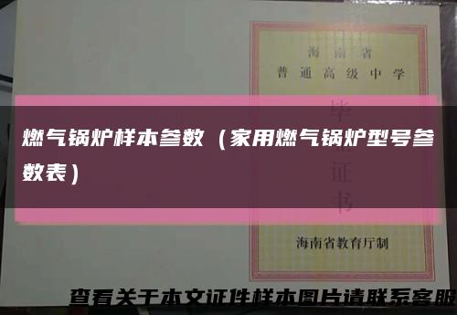 燃气锅炉样本参数（家用燃气锅炉型号参数表）缩略图