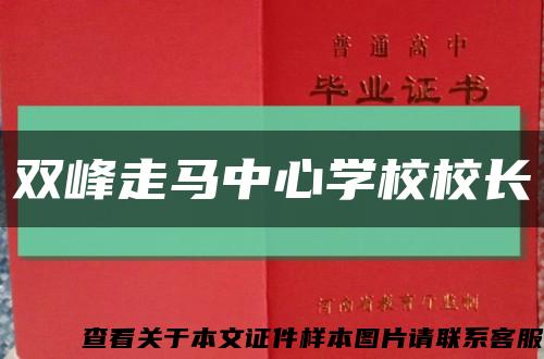 双峰走马中心学校校长缩略图