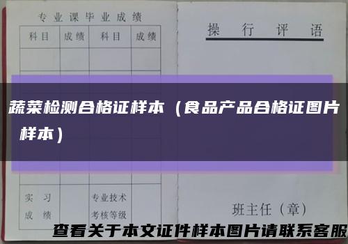 蔬菜检测合格证样本（食品产品合格证图片 样本）缩略图