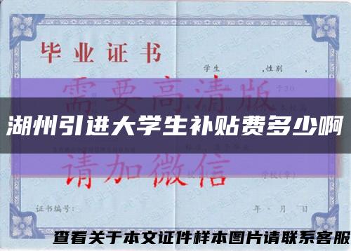 湖州引进大学生补贴费多少啊缩略图