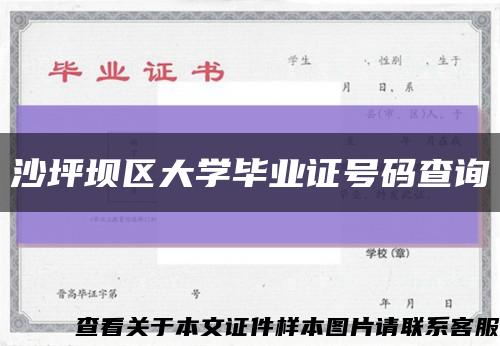 沙坪坝区大学毕业证号码查询缩略图