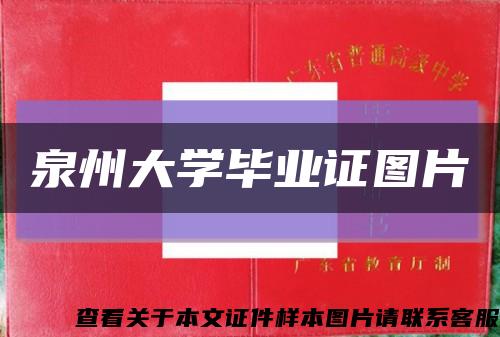 泉州大学毕业证图片缩略图