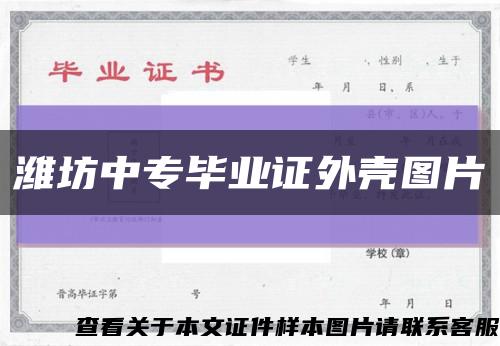 潍坊中专毕业证外壳图片缩略图