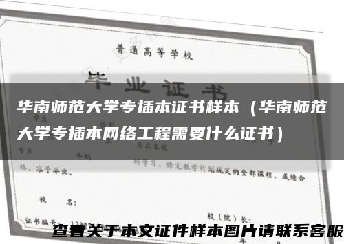 华南师范大学专插本证书样本（华南师范大学专插本网络工程需要什么证书）缩略图