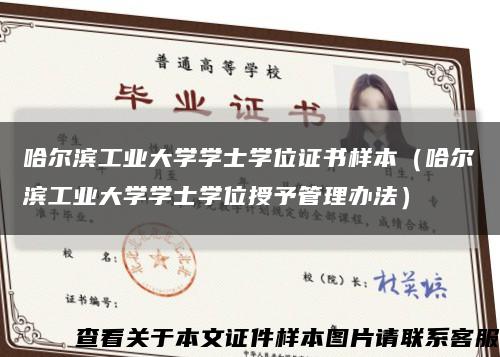 哈尔滨工业大学学士学位证书样本（哈尔滨工业大学学士学位授予管理办法）缩略图