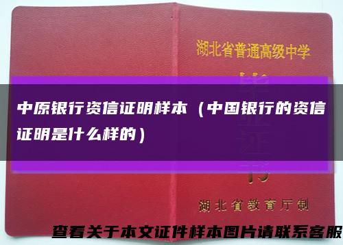 中原银行资信证明样本（中国银行的资信证明是什么样的）缩略图