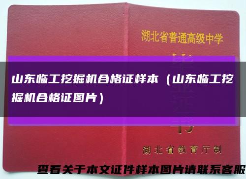 山东临工挖掘机合格证样本（山东临工挖掘机合格证图片）缩略图