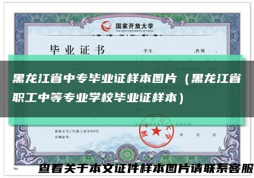 黑龙江省中专毕业证样本图片（黑龙江省职工中等专业学校毕业证样本）缩略图