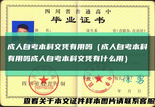成人自考本科文凭有用吗（成人自考本科有用吗成人自考本科文凭有什么用）缩略图