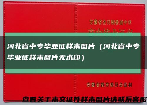 河北省中专毕业证样本图片（河北省中专毕业证样本图片无水印）缩略图