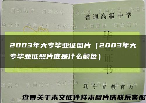 2003年大专毕业证图片（2003年大专毕业证照片底是什么颜色）缩略图