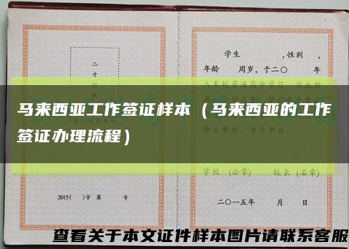 马来西亚工作签证样本（马来西亚的工作签证办理流程）缩略图