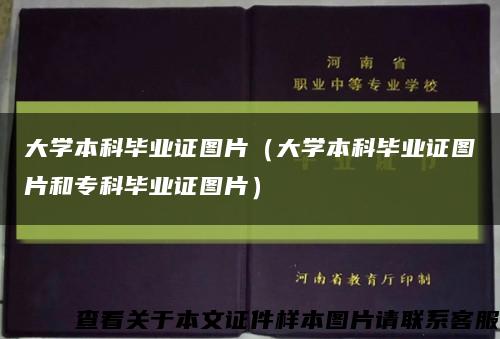 大学本科毕业证图片（大学本科毕业证图片和专科毕业证图片）缩略图