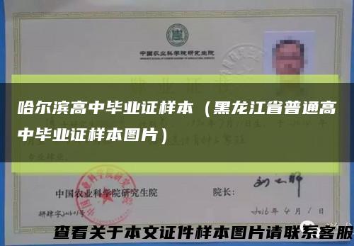 哈尔滨高中毕业证样本（黑龙江省普通高中毕业证样本图片）缩略图