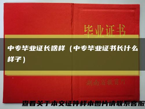 中专毕业证长啥样（中专毕业证书长什么样子）缩略图