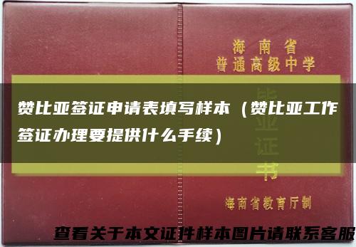 赞比亚签证申请表填写样本（赞比亚工作签证办理要提供什么手续）缩略图