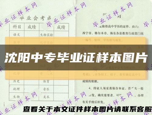 沈阳中专毕业证样本图片缩略图