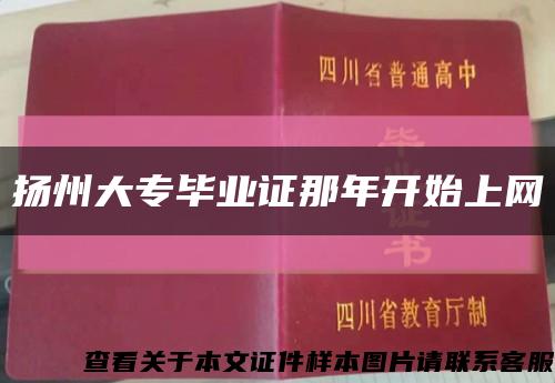 扬州大专毕业证那年开始上网缩略图