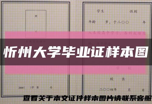 忻州大学毕业证样本图缩略图