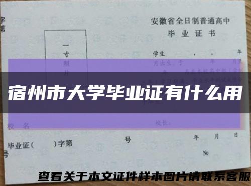 宿州市大学毕业证有什么用缩略图