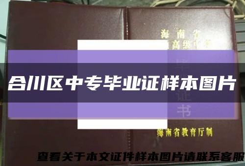 合川区中专毕业证样本图片缩略图