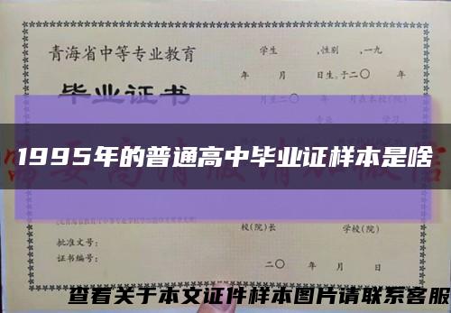 1995年的普通高中毕业证样本是啥缩略图