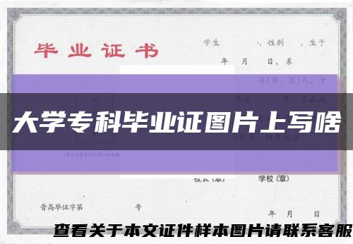 大学专科毕业证图片上写啥缩略图