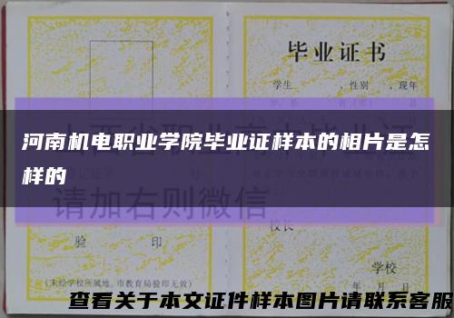 河南机电职业学院毕业证样本的相片是怎样的缩略图