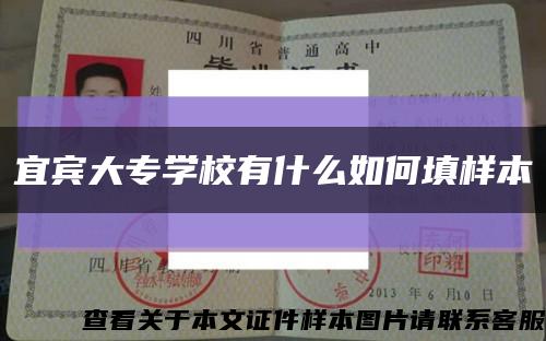 宜宾大专学校有什么如何填样本缩略图