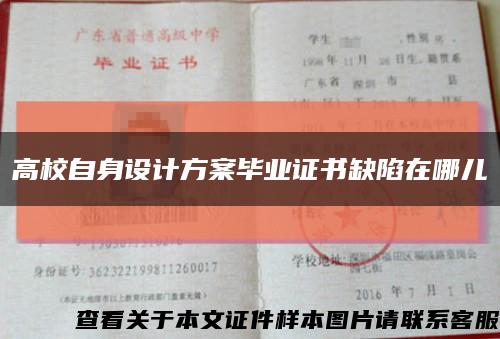 高校自身设计方案毕业证书缺陷在哪儿缩略图