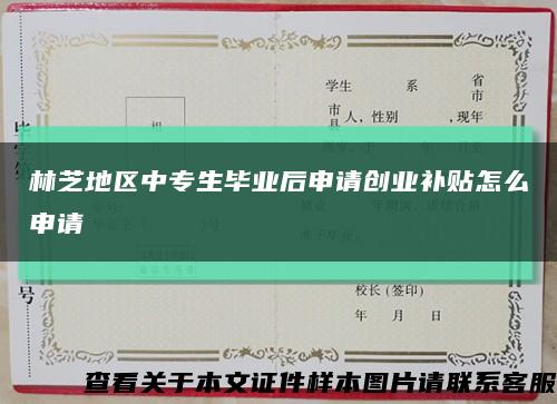 林芝地区中专生毕业后申请创业补贴怎么申请缩略图