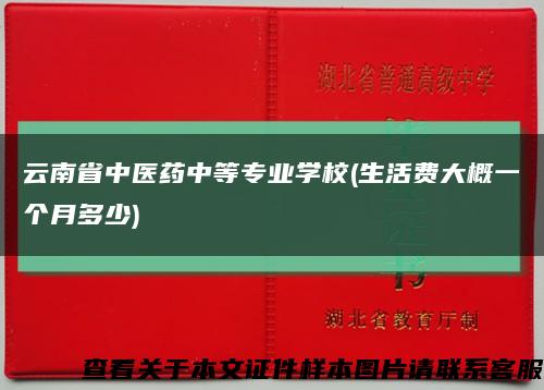 云南省中医药中等专业学校(生活费大概一个月多少)缩略图