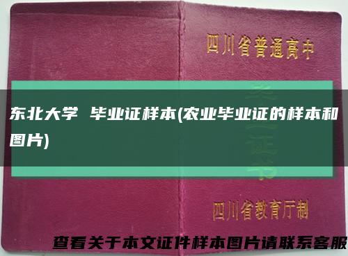 东北大学 毕业证样本(农业毕业证的样本和图片)缩略图