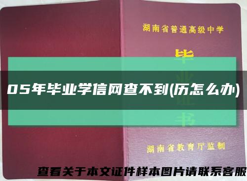 05年毕业学信网查不到(历怎么办)缩略图