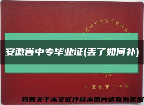 安徽省中专毕业证(丢了如何补)缩略图