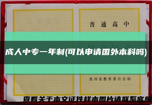 成人中专一年制(可以申请国外本科吗)缩略图