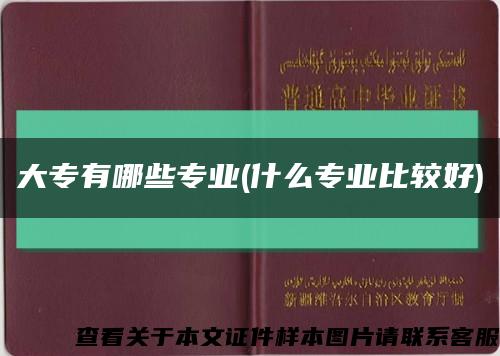 大专有哪些专业(什么专业比较好)缩略图