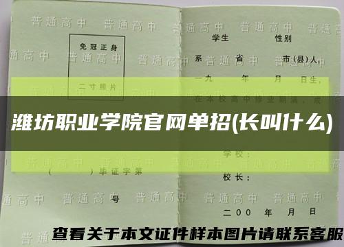 潍坊职业学院官网单招(长叫什么)缩略图