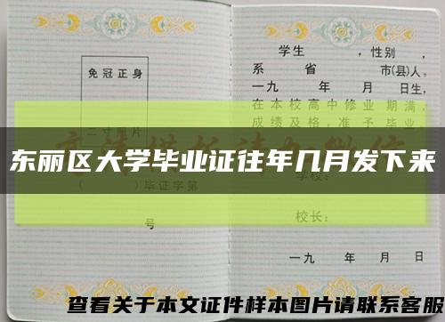 东丽区大学毕业证往年几月发下来缩略图