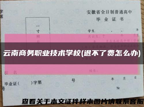 云南商务职业技术学校(退不了费怎么办)缩略图