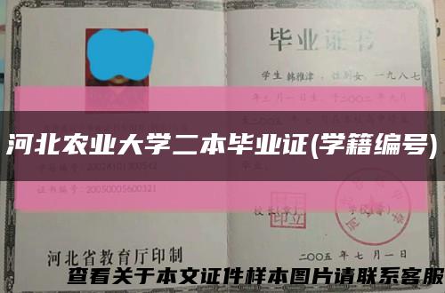 河北农业大学二本毕业证(学籍编号)缩略图