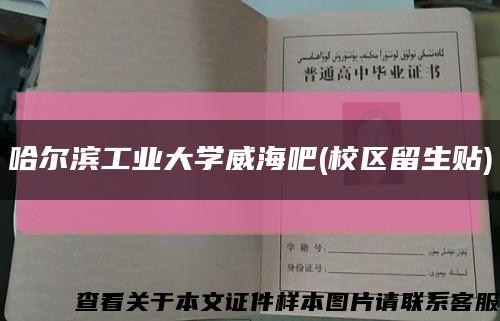 哈尔滨工业大学威海吧(校区留生贴)缩略图