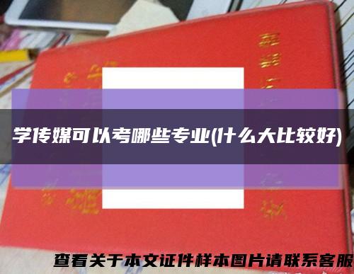 学传媒可以考哪些专业(什么大比较好)缩略图