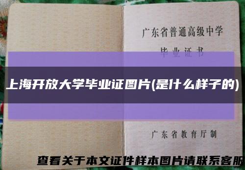 上海开放大学毕业证图片(是什么样子的)缩略图