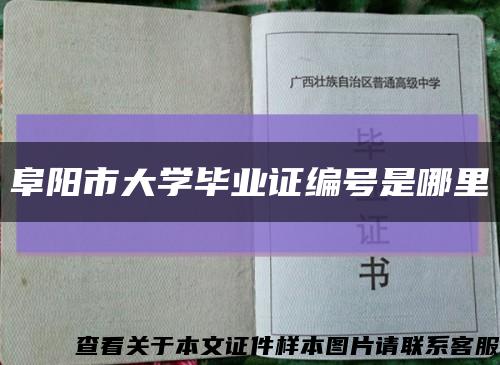 阜阳市大学毕业证编号是哪里缩略图