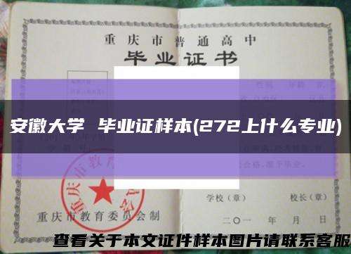 安徽大学 毕业证样本(272上什么专业)缩略图