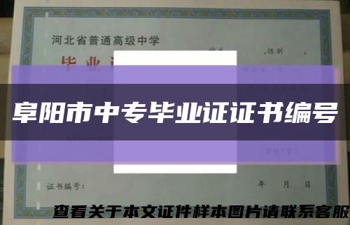 阜阳市中专毕业证证书编号缩略图