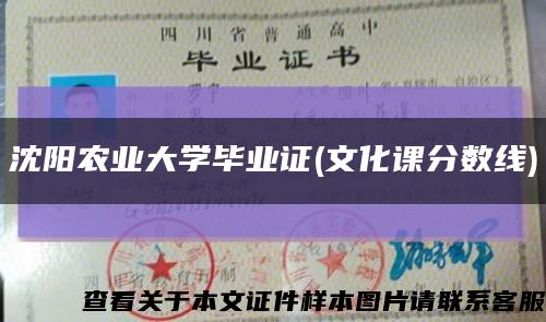 沈阳农业大学毕业证(文化课分数线)缩略图